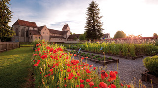 Minster St. Maria and Markus with herbs garden on the island of Reichenau at Lake Constance