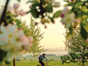 Cycling in Altnau at Lake Constance in Spring